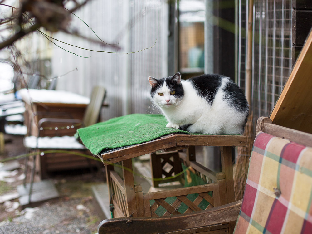 Bert sitzt bei schlechtem Wetter im  Garten