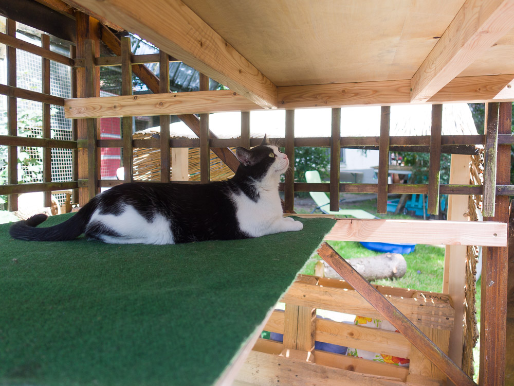 Johnny liegt gedankenversunken in der oberen Etage eines Gartenhäuschens