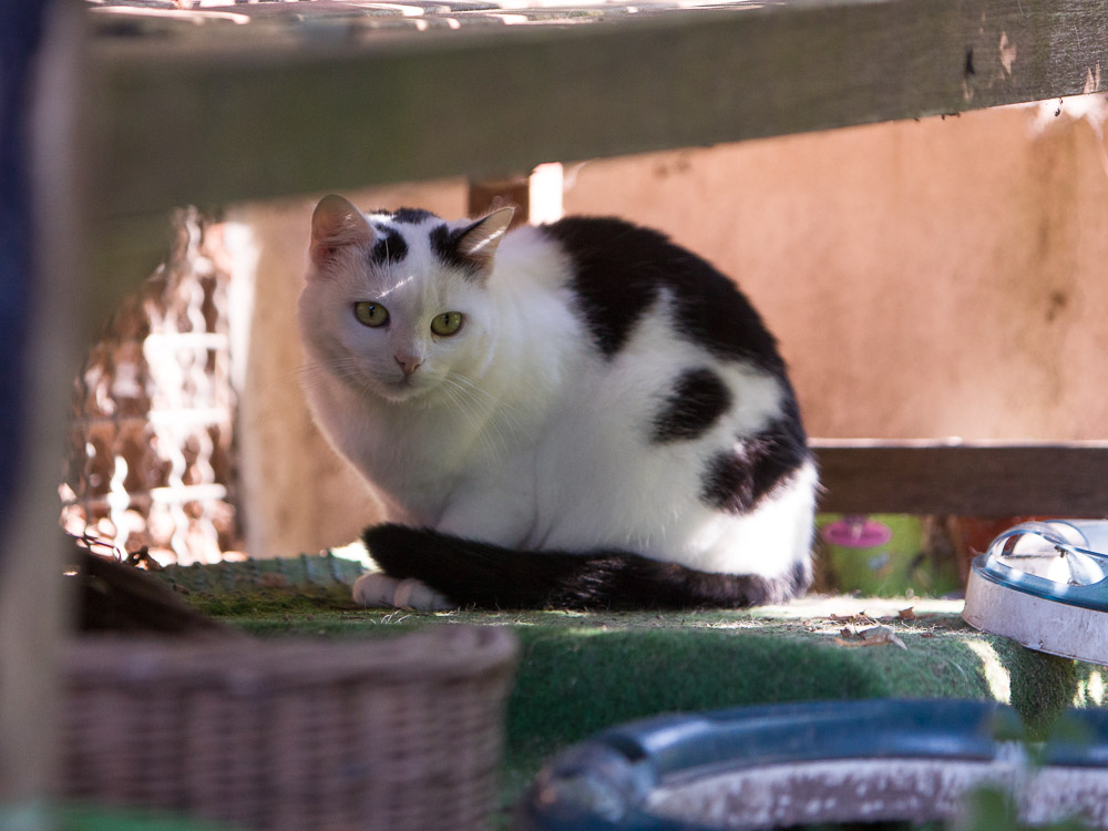 Mimmi sitzt im Garten und sieht nachdenklich aus